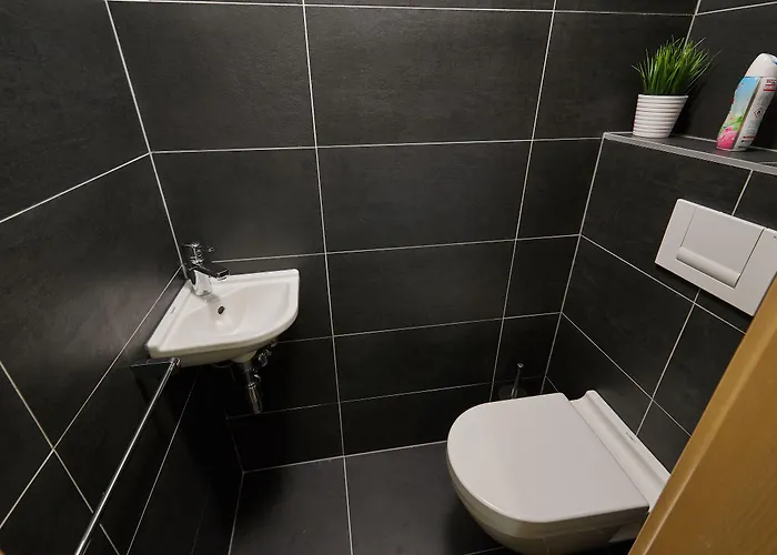 Lägenhetshotell Kovarna 4*